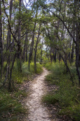 Fototapeta na wymiar Landscape from Southern highlands NSW