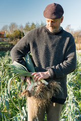 Farmer Clutching Bundle of Leeks in Farm