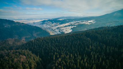 flying over the forest in the mountains in winter on a cloudy day. aerial photography