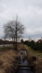 Ciemno. Mokro i pochmurno © michalsen