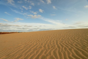 Fototapeta na wymiar beach Santa Maria, Sal Island , CAPE VERDE