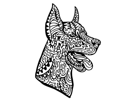 Ethnic Detail Zentangle Dog Doodle Illustration for coloring book, tattoo, sticker, shirt, and poster - Doberman