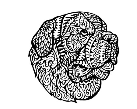 Ethnic Detail Zentangle Dog Doodle Illustration for coloring book, tattoo, sticker, shirt, and poster - Saint Bernard