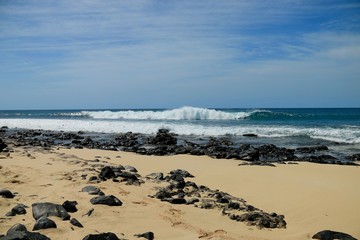   beach Santa Maria, Sal Island , CAPE VERDE













