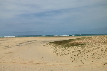   beach Santa Maria, Sal Island , CAPE VERDE













