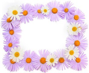 Fototapeta na wymiar purple flowers and chamomiles on white background.Frame, Blank, greeting card