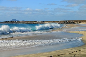   beach Santa Maria, Sal Island , CAPE VERDE













