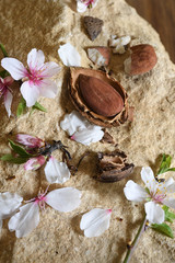 amande et fleurs