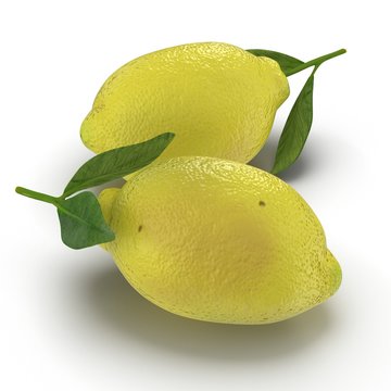 Two ripe lemons with leaves on white. 3D illustration
