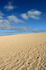   beach Santa Maria, Sal Island , CAPE VERDE










