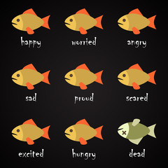 Fish language alphabet - how to understand your fish? - funny fish quotes