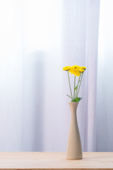 Beautiful yellow flowers in vase