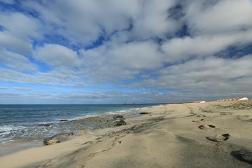   beach Santa Maria, Sal Island , CAPE VERDE









