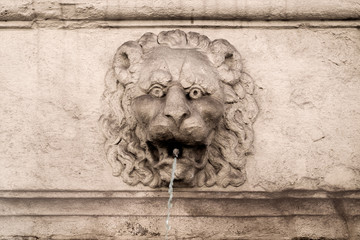 Lion head as a fountain