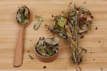 Bunch of dried strawberry leaves with berries