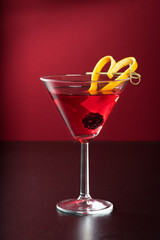 fancy martini gin tonic cocktail drink on plain background fine rustic garnish alcohol
