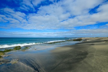  beach Santa Maria, Sal Island , CAPE VERDE




