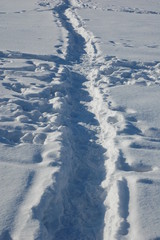 Fototapeta na wymiar There are many footprints in the snow.