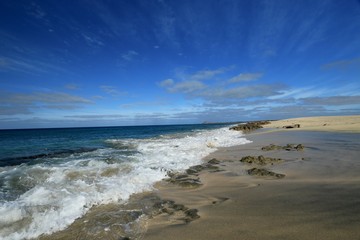 Fototapeta na wymiar beach Santa Maria, Sal Island , CAPE VERDE