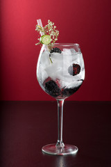 fancy martini gin tonic cocktail drink on plain background fine rustic garnish alcohol