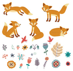 Foxes set