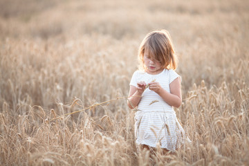 Naklejka na ściany i meble Emotional child on wheat field at sunset,pastel