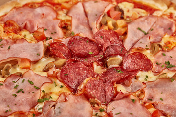 meat pizza with salami closeup macro view