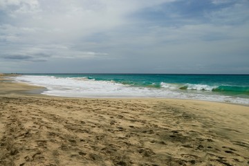 Fototapeta premium beach Santa Maria, Sal Island , CAPE VERDE