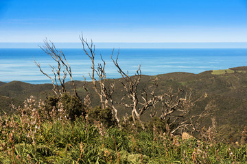 Costa Verde di Arbus vista dal Monte Arcuentu, Arbus, Sardegna