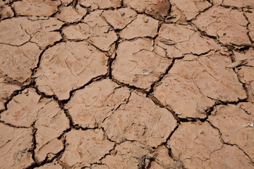 Close-up view of dry cracked soil