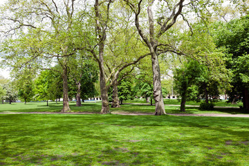 View across shady grass into park