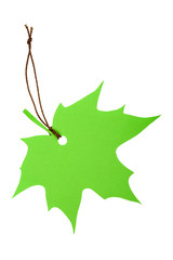 Green maple leaf tag tied with brown string, isolated on white