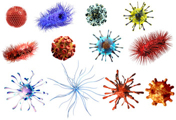 Virus and bacteria large Collection. Detailed medical illustration of viruses and bacteria isolated on white background - 140609000