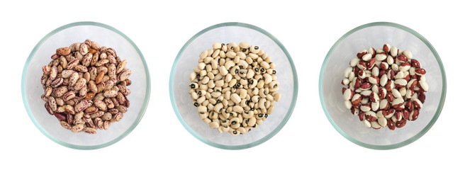 Dry White and Pinto Beans in Glass Round Bowls Isolated