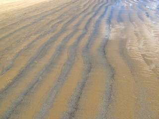 Rippled wet sand