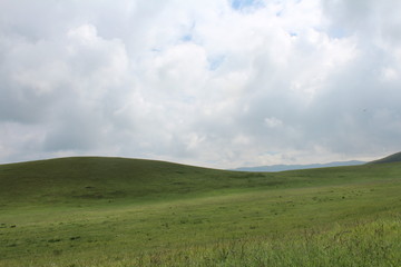 Fototapeta na wymiar Amdo Tibetan Grasslands in Summer