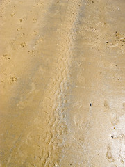 Tire tracks in wet sand