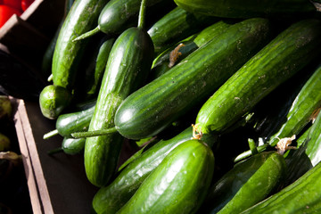Close up of cucumber