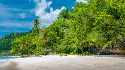 Fototapeta premium Bamboo Huts on the Beach, Coral Reef of an Homestay Gam Island, West Papuan, Raja Ampat, Indonesia
