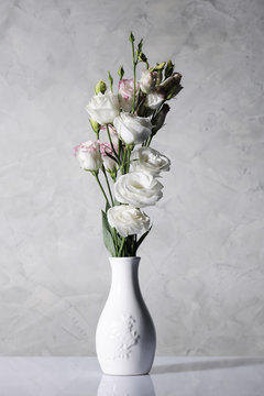beautiful flowers in white vase