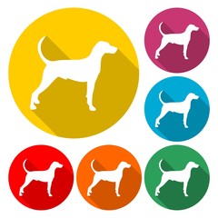 Dog icon flat - Illustration