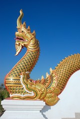 Fototapeta na wymiar Golden serpent king or king of naga statue in Thai temple on clear blue sky background