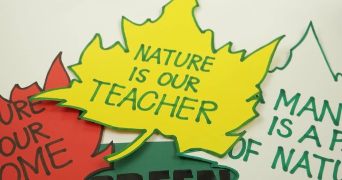 Writing phrase about ecology       