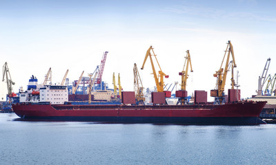 Empty container ship in port, cargo cranes on background