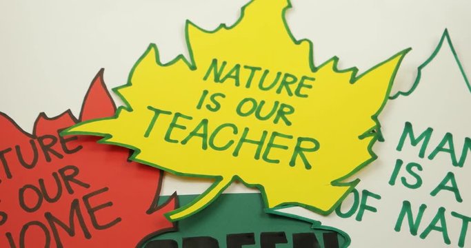 Writing phrase about ecology       