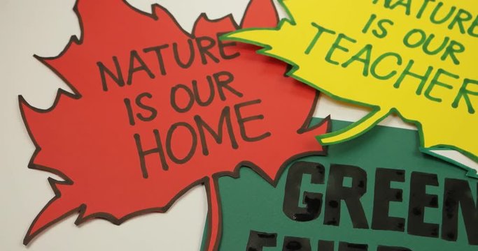 Writing phrase about ecology       