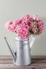 pink persian buttercup flowers. Curly peony ranunculus in Metallic gray vintage watering can, copy space.