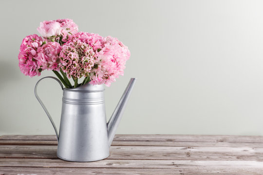 Fototapeta pink persian buttercup flowers. Curly peony ranunculus in Metallic gray vintage watering can, copy space.