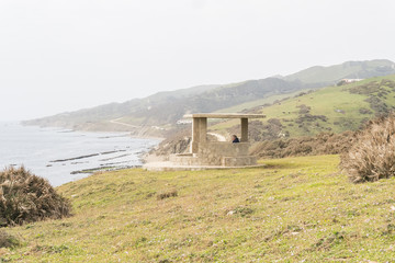 Guadalmesi bird watching, Strait Natural Park, Cadiz, Spain