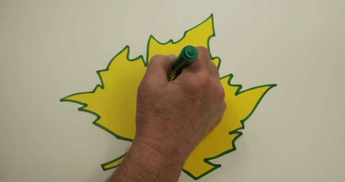 Writing phrase about ecology       